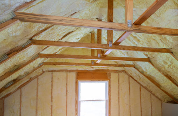 Best Insulation Repair Services  in Wyboo, SC