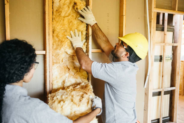 Best Affordable Insulation Services  in Wyboo, SC