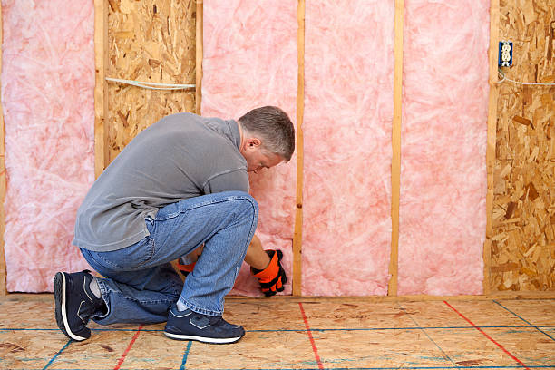 Best Best Insulation Companies  in Wyboo, SC