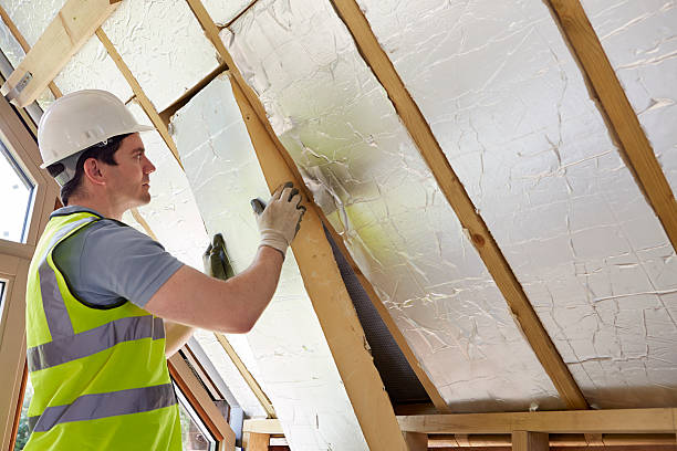 Best Local Insulation Services  in Wyboo, SC