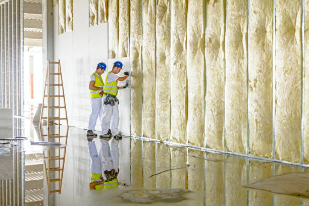 Professional Insulation Contractor in Wyboo, SC